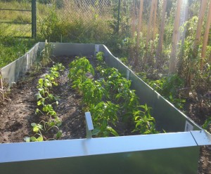 Antischneckenausruestung 20.7.14 1