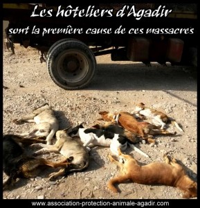 Massacre Club Robinson