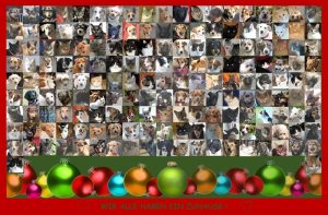 2015 mail